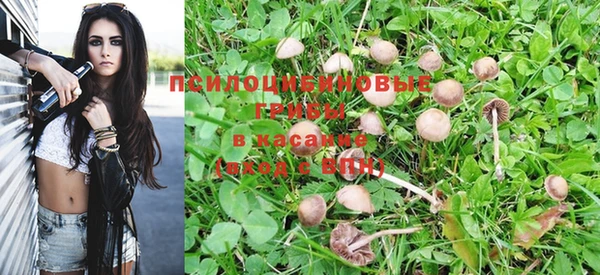 МДПВ Алзамай