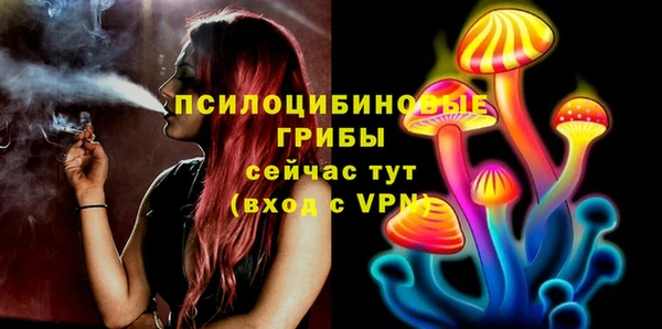 МДПВ Алзамай