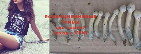 МДПВ Алзамай