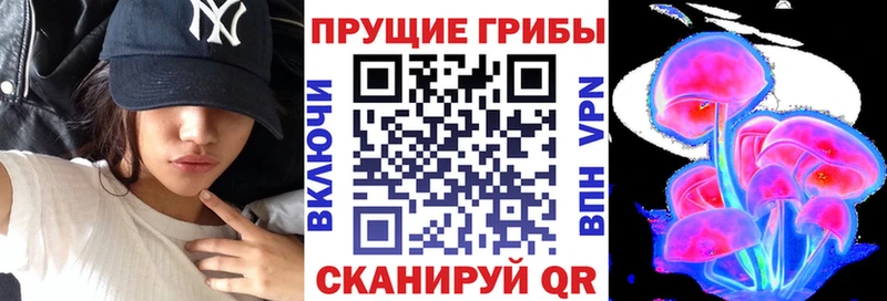 где найти наркотики  kraken ТОР  Псилоцибиновые грибы Psilocybe  Медынь 