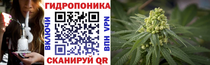 Бошки марихуана MAZAR  ОМГ ОМГ ONION  Медынь 